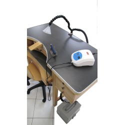 ASPIRATEUR ETABLI 300/600 WATT