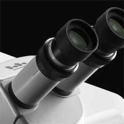 LASER COMPACT DADO