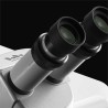 LASER COMPACT DADO