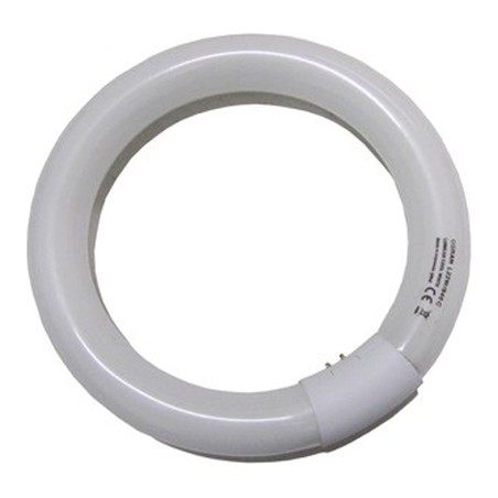 LAMPE LOUPE RLL 122 - TUBE NEON